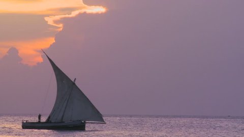 A beautiful shot of a dhow sailboat sailing along the coast of Zanzibar at sunset.