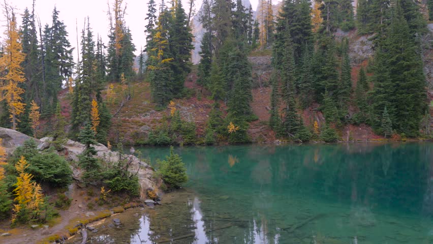 Fallen logs in a forest lake. Blue Lake at the foot of the mountains covered with yellow fir-trees. North Cascades National Park. Washington state. Landscape video. 4K, 3840*2160, high bit rate, UHD