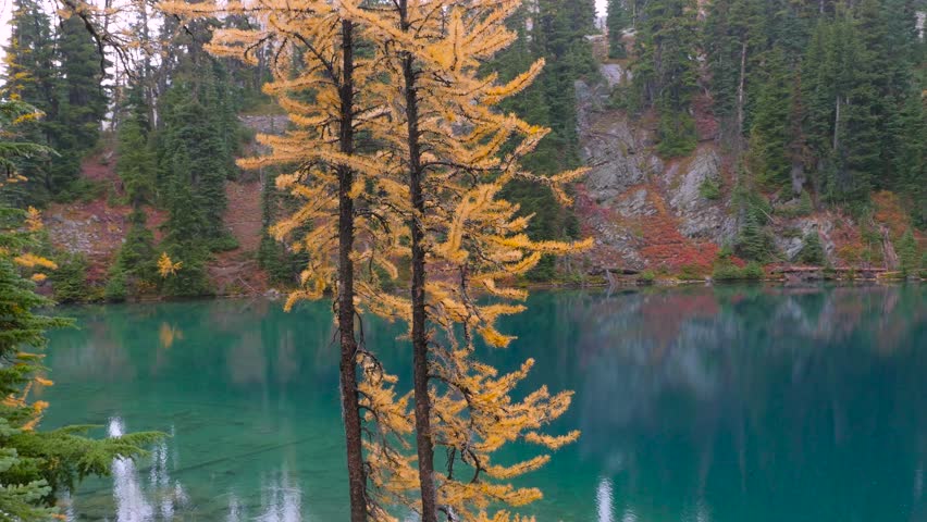 Yellow fir on background of blue lake in the mountains. Rocky shore of the lake. Autumn. North Cascades National Park. Washington state. Landscape video.4K, 3840*2160, high bit rate, UHD
