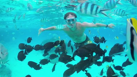 SLOW MOTION HALF UNDERWATER: Young diver man snorkeling and swimming underwater, exploring tropical reef with beautiful colorful exotic fish in crystal clear lagoon ocean in French Polynesia