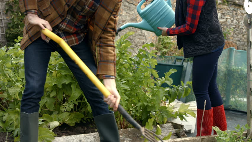 Young couple gardening together