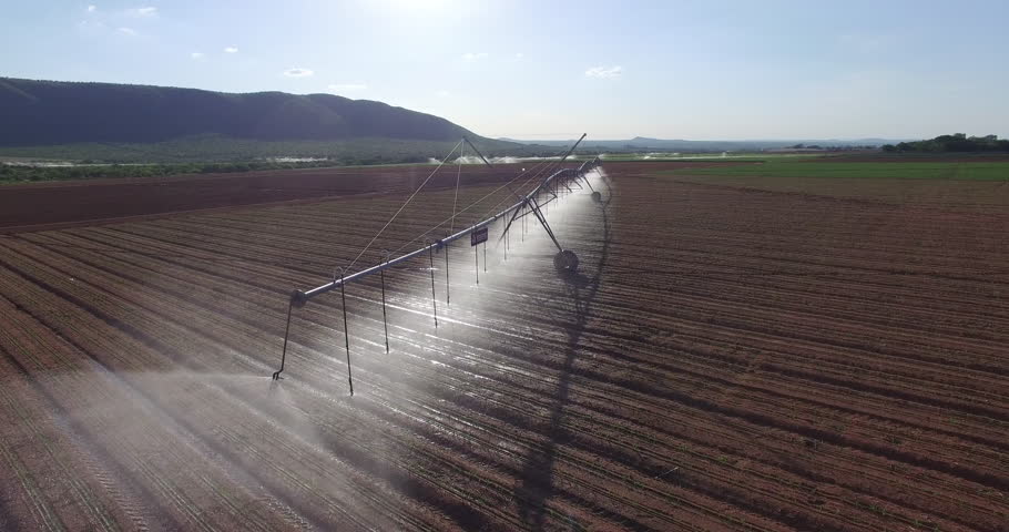 Aerial view of corn fields being irrigated with center pivot system on a large scale commercial corn field Royalty-Free Stock Footage #14904415