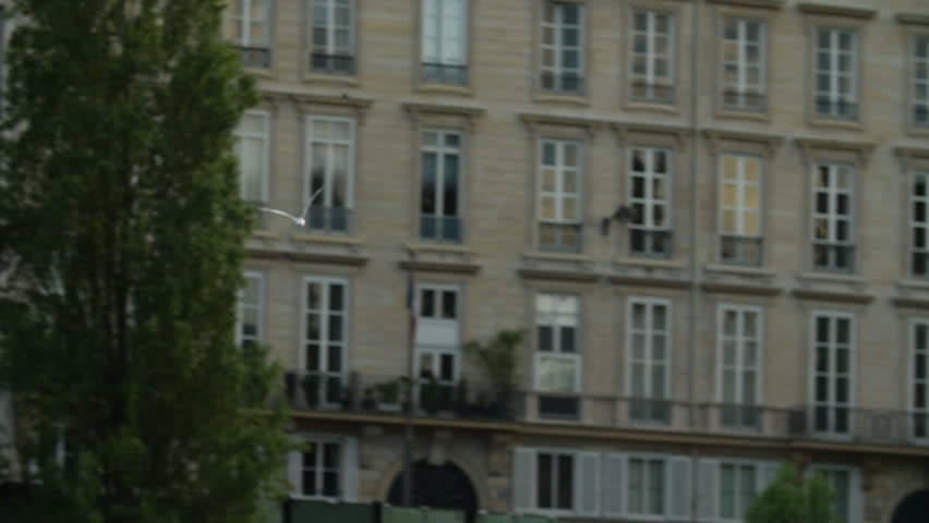 Gull flying in Paris - slow motion scene