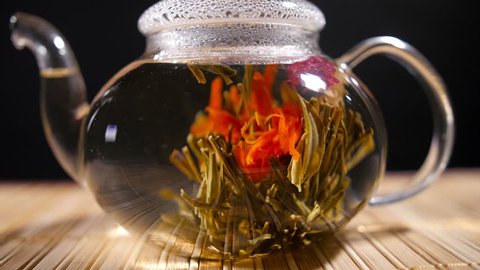 Florescence of Red Blooming Tea