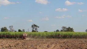planting sugarcane with Agricultural machinery