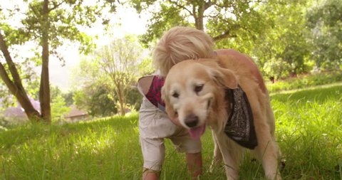 Cute blond preschooler child pets and hugging a labrador retriever dog at park