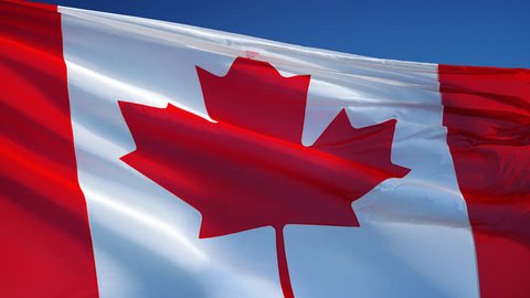 Canada Flag White Background Stock Illustration 252026401 | Shutterstock