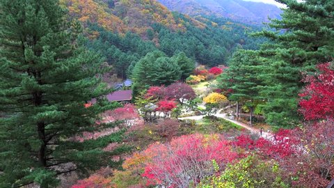 Autumn in The Garden of Morning Calm. Gapyeong, South Korea