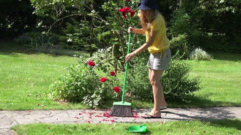 The girl with broom sweeping garden path covered with red rose petals. Beautiful florist woman in shorts and yellow shirt working in summer season. Static shot.