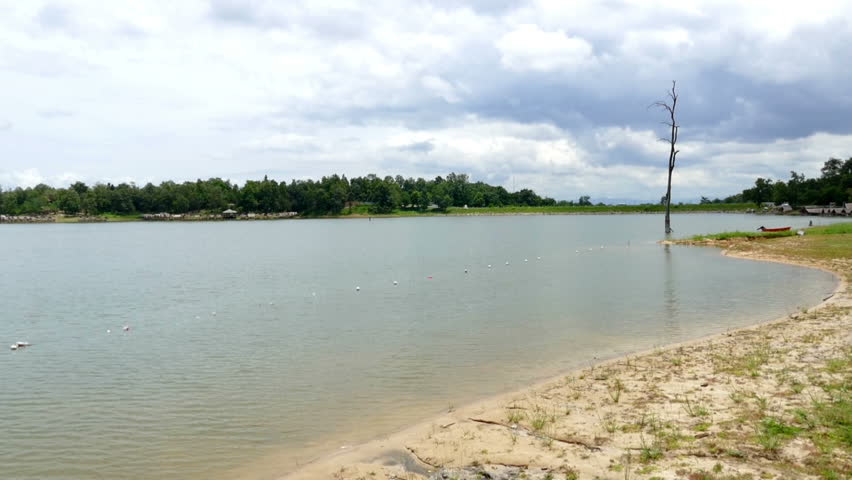 view of the edge of the pond and deadwood in the park
