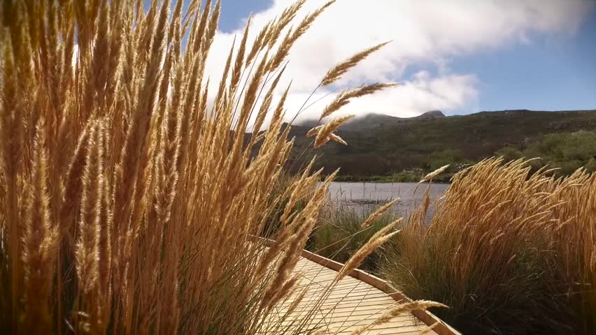 Mountain lake,Cape town