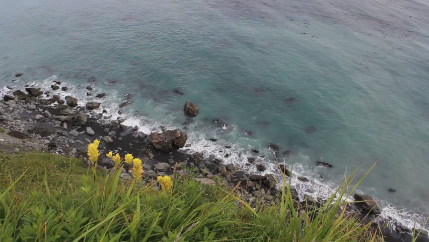 Gentle waves roll onto rocky shore below lush green grass and wildflowers on Kodiak Island, Alaska. 1080p