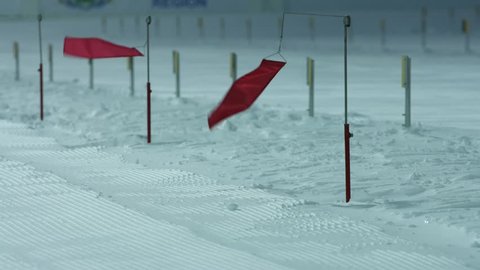 Biathlon. Flag fluttering in the shooting range. Wind : vidéo de stock