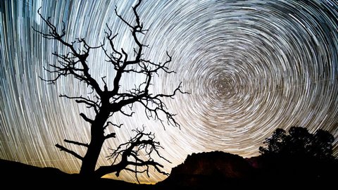 Time lapse of a star trail as if forms in the Utah desert of Capitol Reef. Vídeo Stock
