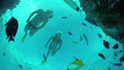 SLOW MOTION CLOSE UP UNDERWATER: Young couple, man and woman on romantic honeymoon diving, snorkeling and swimming underwater in beautiful lagoon, exploring tropical reef with exotic fish