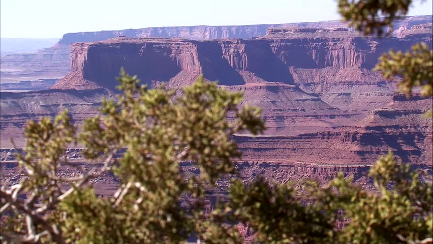 Desert landscape with plants in foreground.