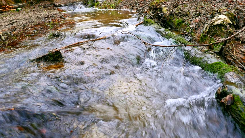 Video shot of little stream in the forest