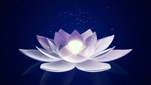 Magic Lotus Flower Stock Illustration 109114955 | Shutterstock