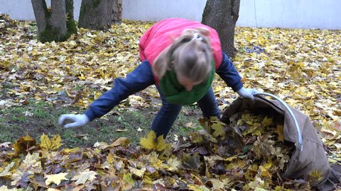 country woman stuffing dry leaves into material bag sack in house backyard. Tilt up shot.
