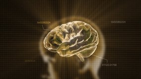 Gold X-ray Brain to represent the theme of human, biology, intelligent,technology etc - Powered by Shutterstock - Get 15% off with code: PIKWIZARD15