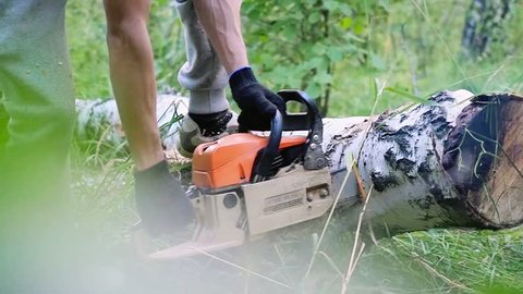 Man cuts away fresh birch in the forest, using electric chainsaws in slowmotion. 1920x1080. hd