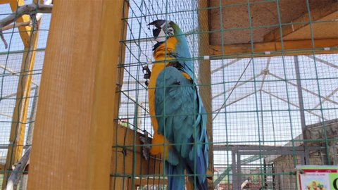 A closer look at Macaw Parrot Cage With Functional Lock