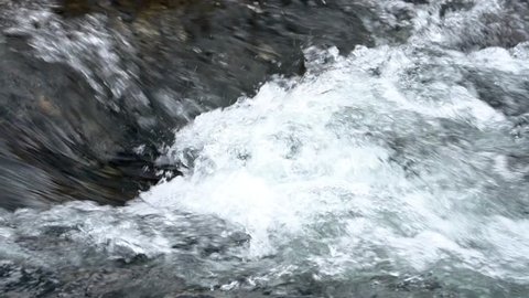 Detail of a mountain stream flowing impetuous.