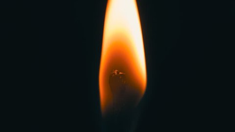 Head matches is lit a bright flame. The match stands upright. Closeup