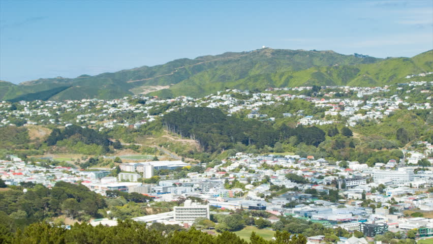 Wellington NZ Red Maori Wooden Carved Artwork with City Mountains Landscape Background with Residential Neighborhoods