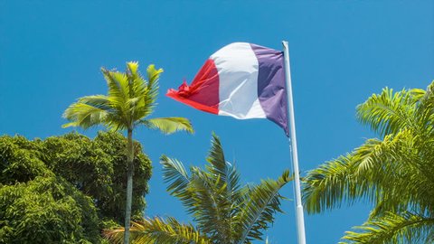 French Flag in Tropical New Caledonia Island Setting Featuring Green Palm Trees and a Blue Sky with Vibrant Colors and Sunshine