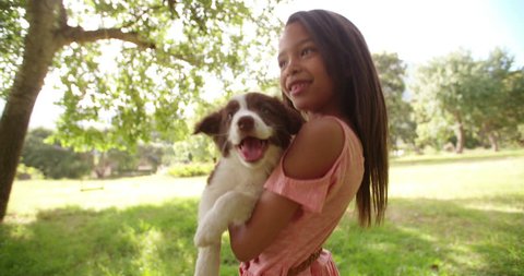 Adorable fluffy cute border colly puppy being hugged by beautiful young African-American girl in a park.