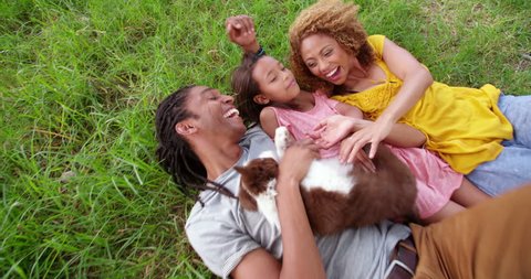 Sweet top view shot of family resting on the grass of their local park in the shade playing with their cute fluffy new puppy. Stock Video