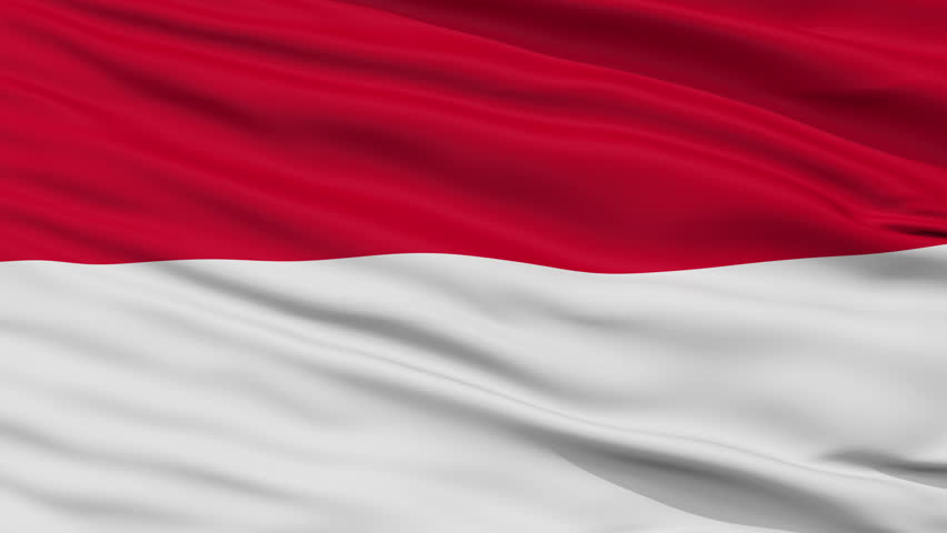 Indonesia Flag Close up Realistic Stock Footage Video (100% Royalty-free) 15048874