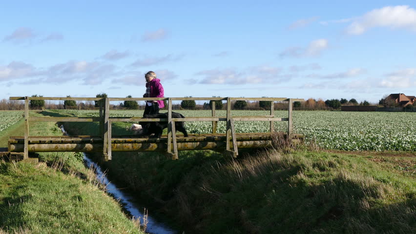 A woman walking her two dogs over a river bridge in open countryside, on a winter’s morning.