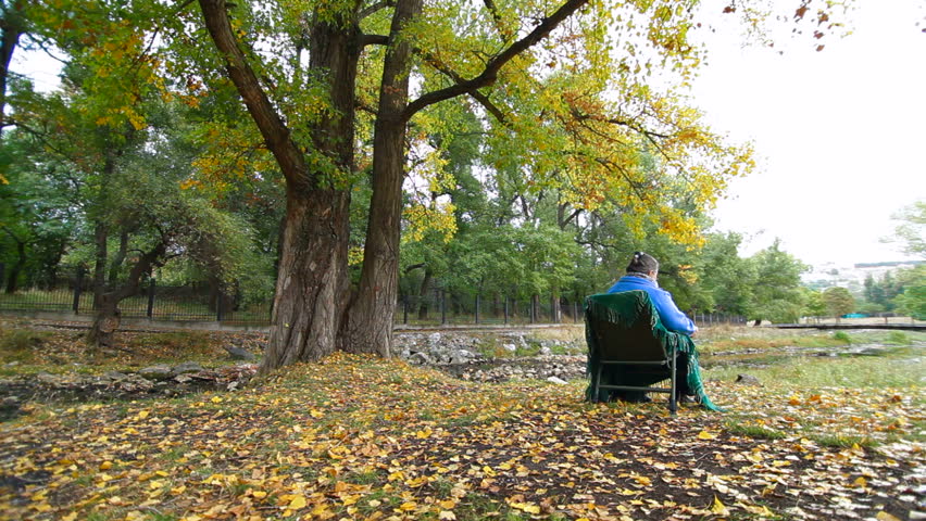 elderly woman sitting on a chair at autumn park. Tripod, Wide Shot, Rear View