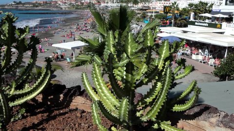 COSTA ADEJE, TENERIFE, SPAIN-CIRCA JAN, 2016: View through the green plants at Torviscas and Fanabe beaches. Torviscas beach is the next to Fanabe beach. All these are artificial bulk beaches