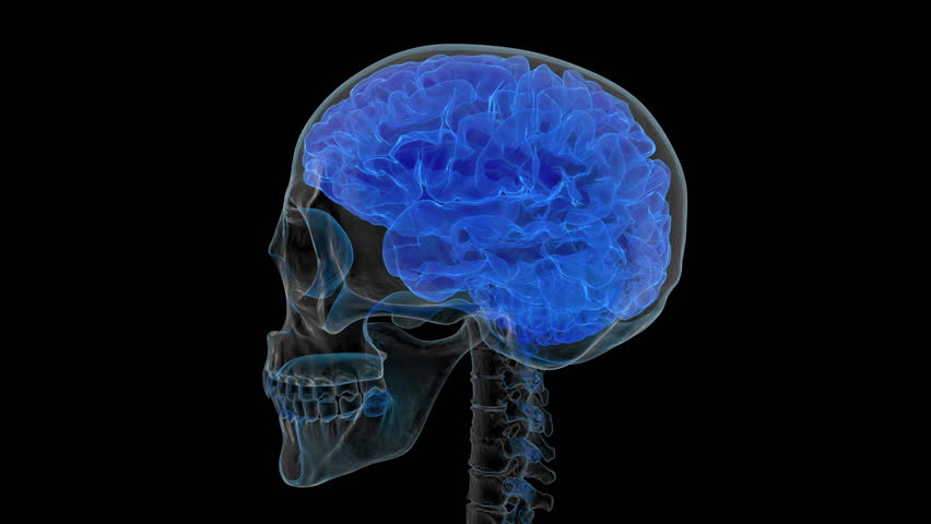 What Could Happen After A Brain Injury? - YouTube