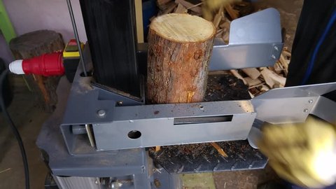 Worker splitting oak wood with a hydraulic wood splitter