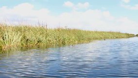 Video capturing high speed ride on an airboat in the Everglades National Park. Shot with a Panasonic GH4 with a 12-35 mm 2.8 lens.