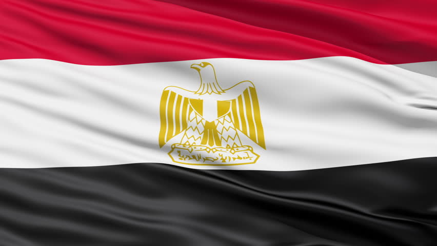 Tricolor waving Flag of Egypt with the national emblem Eagle of Saladin,seamless