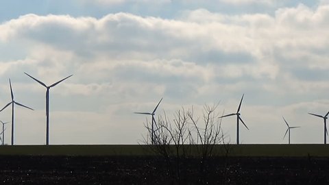 Slow motion seamless loop long shot of wind park farm generating renewable eco green electrical energy with blue sky and white clouds green grass and black earth humus broken ground with branches