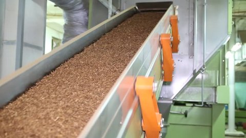tobacco drying process, cigarette manufacturing
