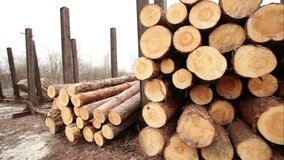 old sawmill timber board video