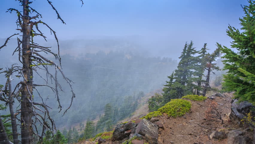 Crater Lake National Park is a caldera lake in the western United States, located in south-central Oregon.