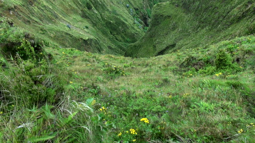 Azores canyon
Sao Miguel ( Azores , February 2016 )