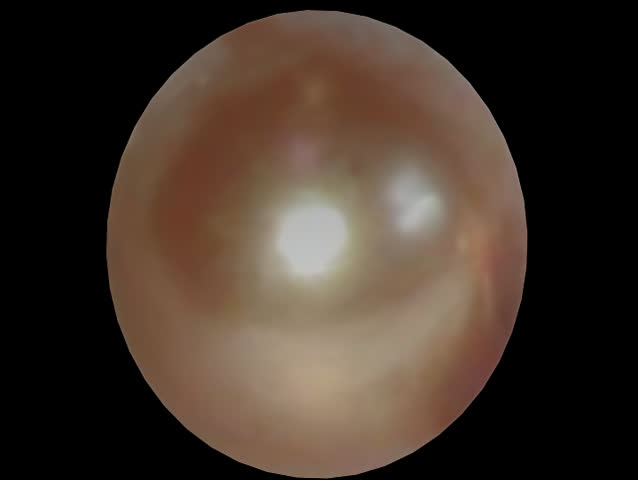 giant pearl