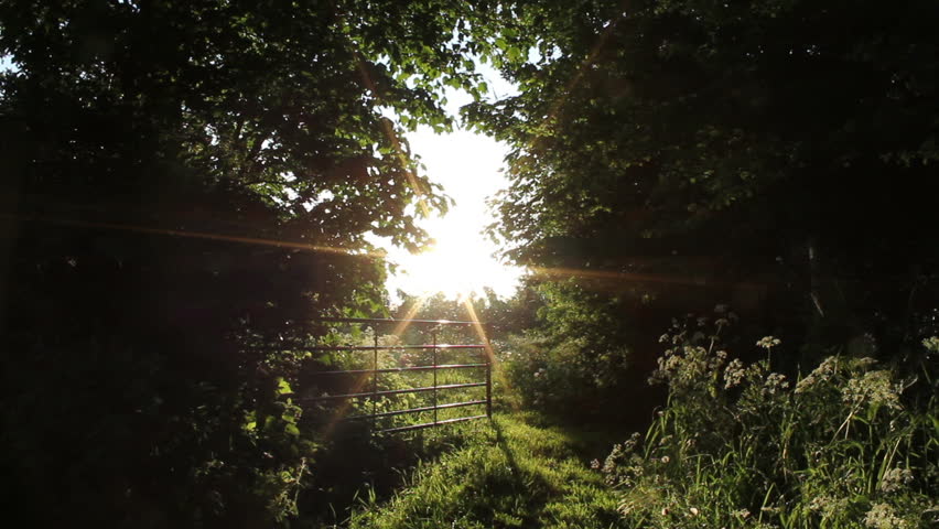 English Countryside Meadow Gate In The Setting Sun