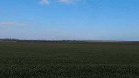 Vehicle shot at green crops with blue sky with some white clouds and trees in the background stock video footage in sunny winter day