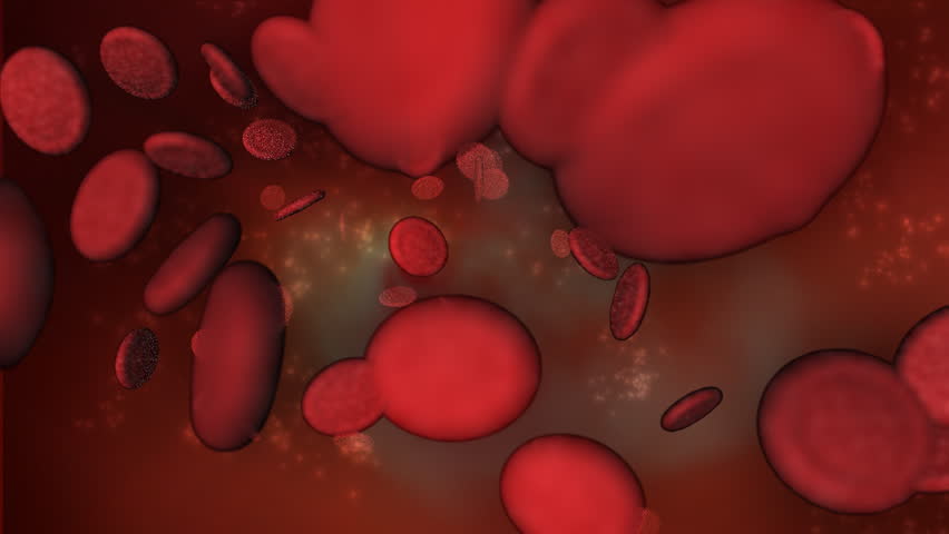 Microscopic blood red cells with DOFF and Alpha Channel