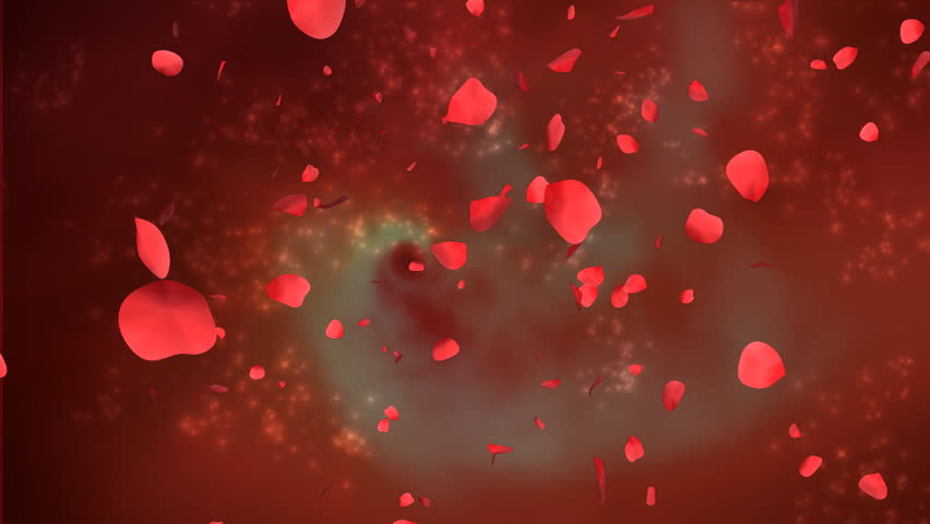 Rose petals with abstract background and Alpha